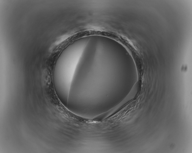 X0000090501303200707201538