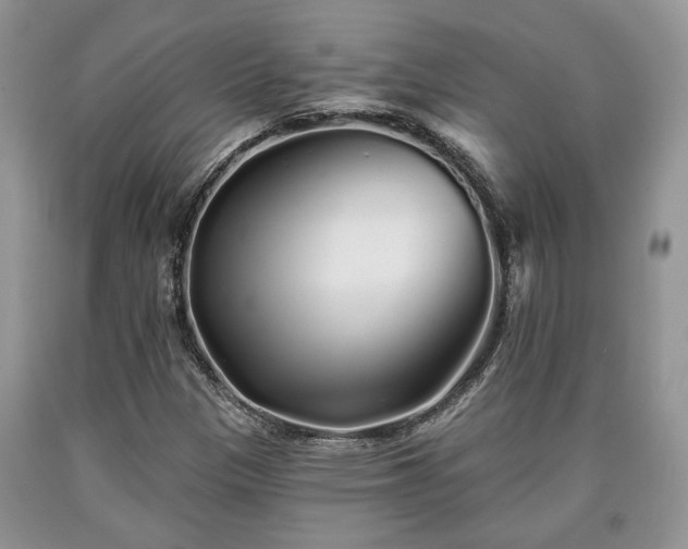 X0000090501305200707201538