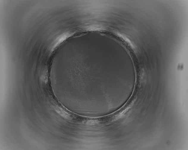 X0000090501306200707201538