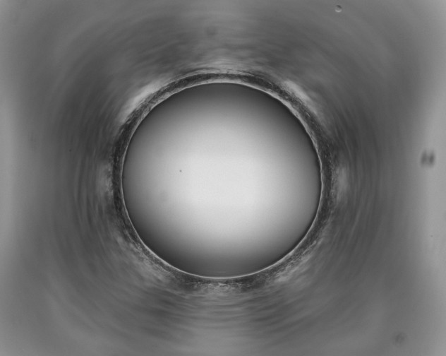 X0000090501307200707201538