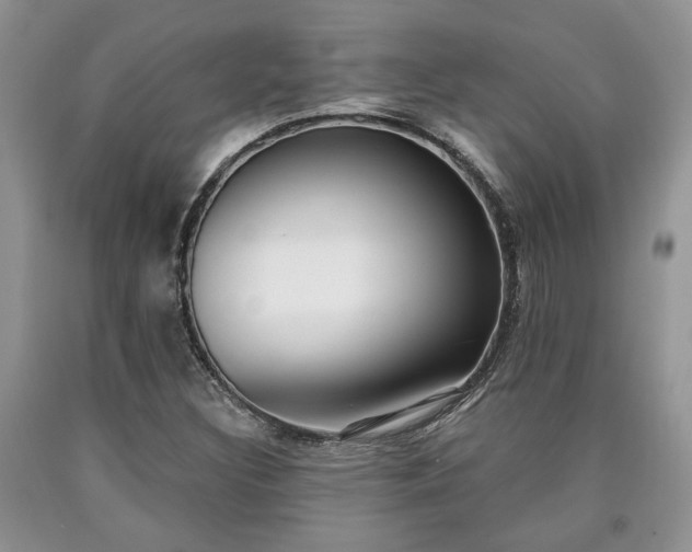 X0000090501308200707201538