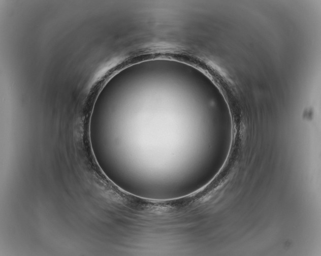 X0000090501309200707201538