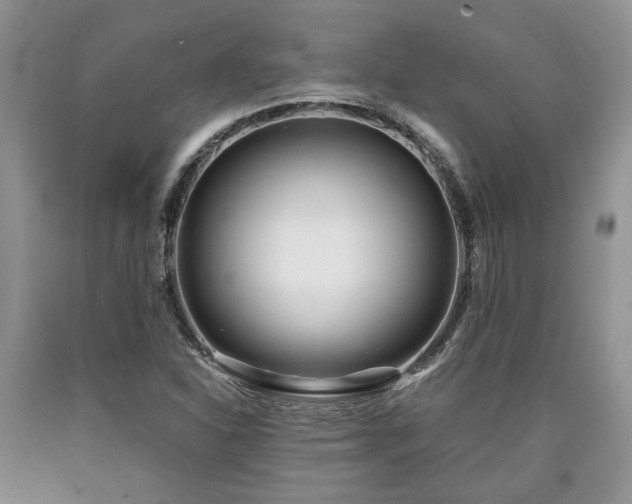 X0000090501310200707201538