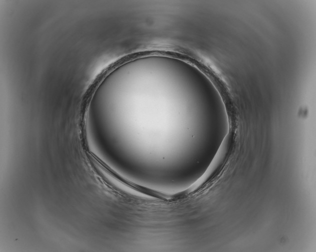 X0000090501312200707201538