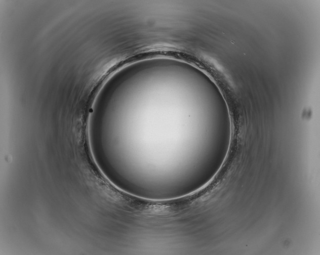 X0000090501313200707201538