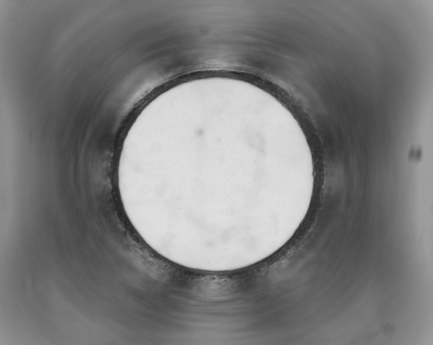 X0000090501314200707201538
