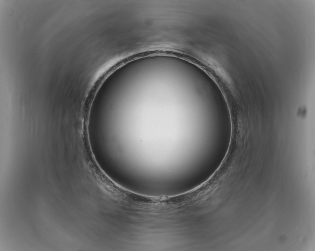 X0000090501316200707201538