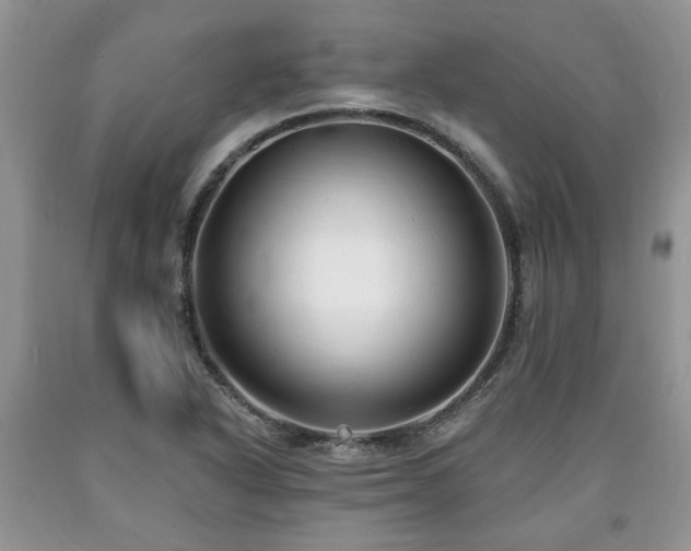 X0000090501318200707201538