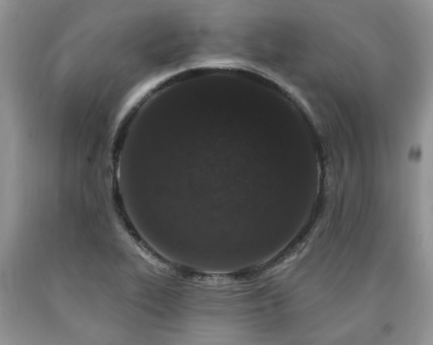X0000090501319200707201538