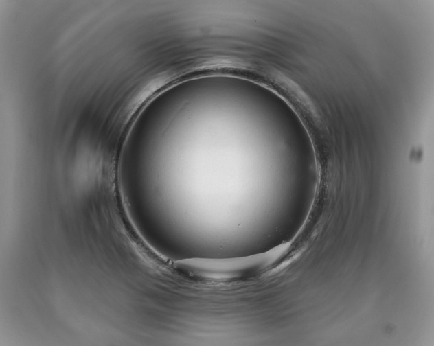 X0000090501321200707201538