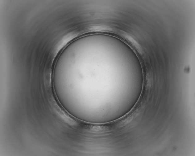 X0000090501322200707201538