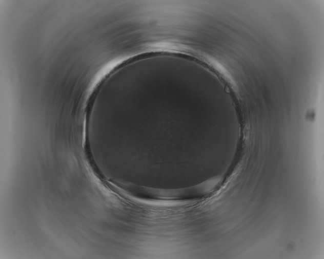 X0000090501323200707201538