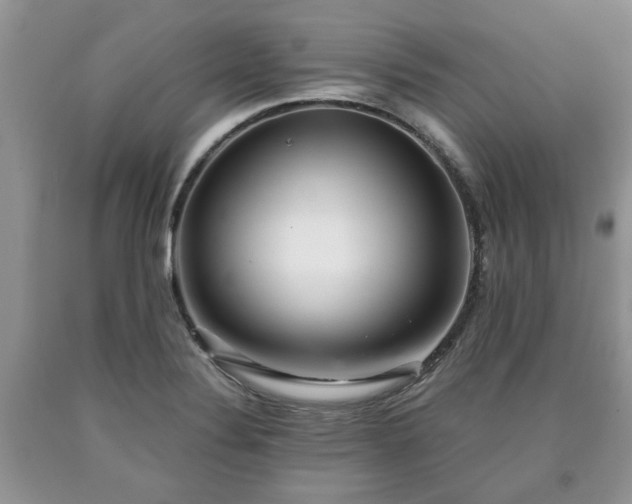 X0000090501324200707201538