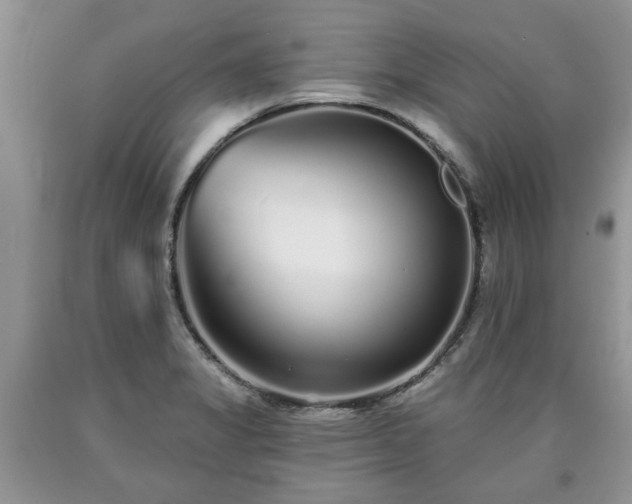 X0000090501325200707201538