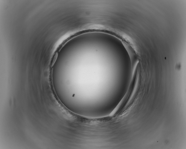 X0000090501326200707201538