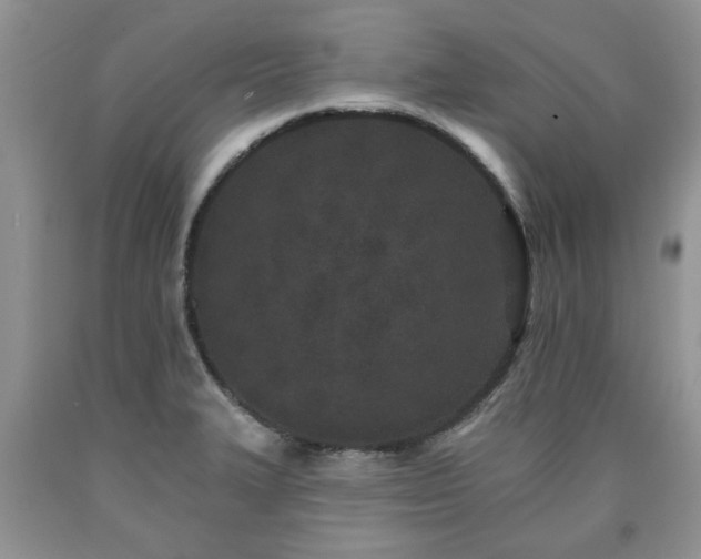 X0000090501327200707201538
