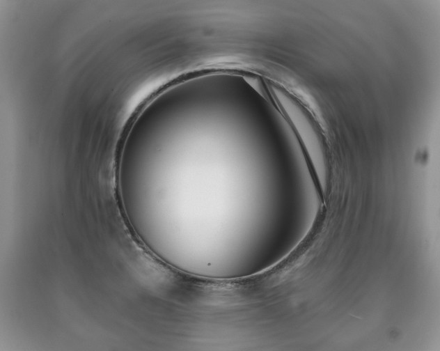 X0000090501328200707201538
