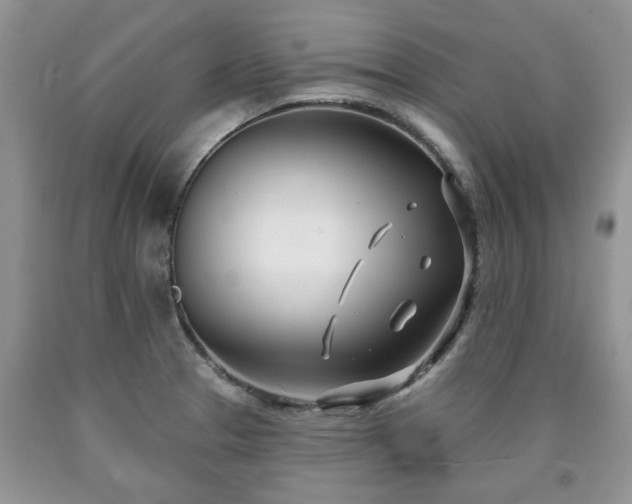 X0000090501329200707201538