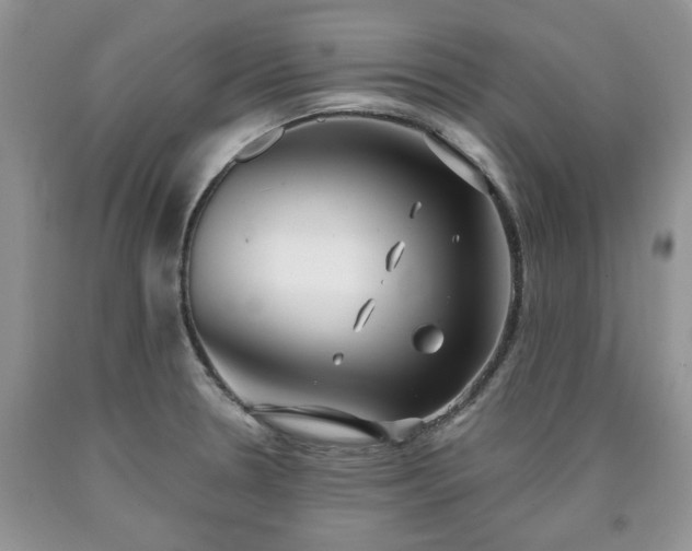 X0000090501330200707201538