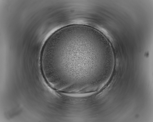 X0000090501331200707201538