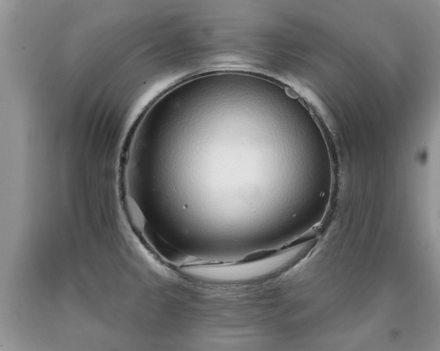 X0000090501333200707201538
