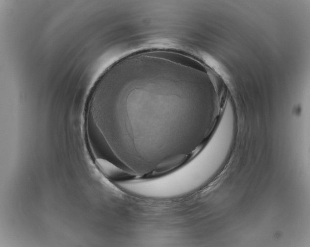 X0000090501334200707201538