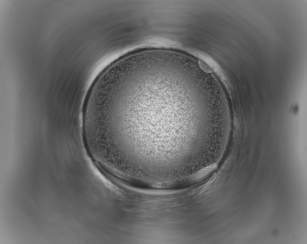 X0000090501335200707201538