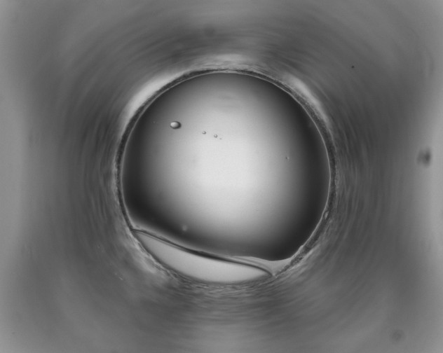 X0000090501336200707201538