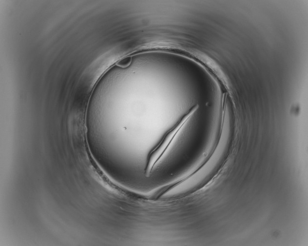 X0000090501337200707201538