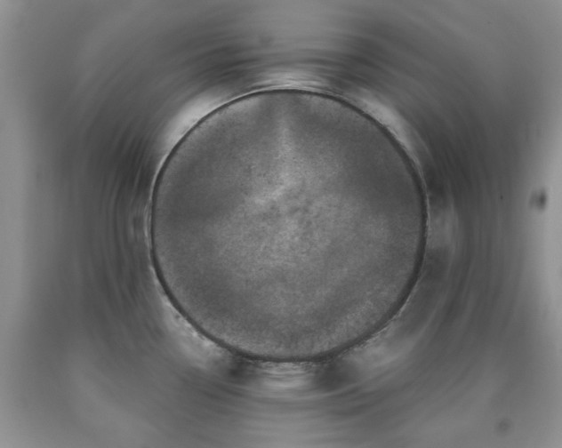 X0000090501338200707201538
