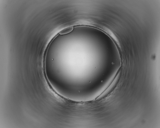 X0000090501339200707201538