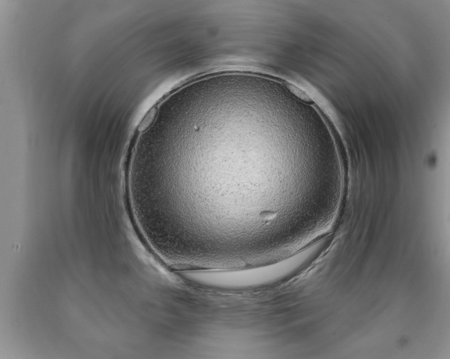 X0000090501341200707201538