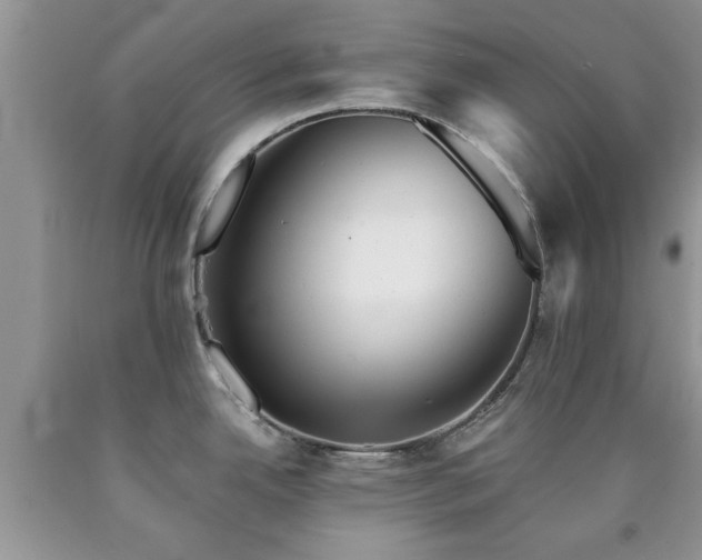 X0000090501342200707201538