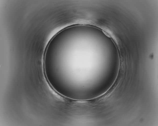 X0000090501343200707201538