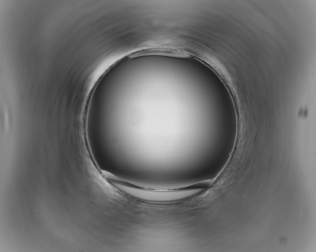 X0000090501344200707201538