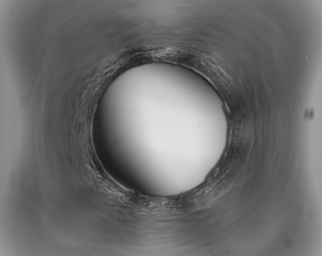 X0000090501345200707201538