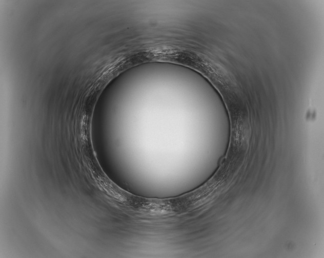 X0000090501346200707201538