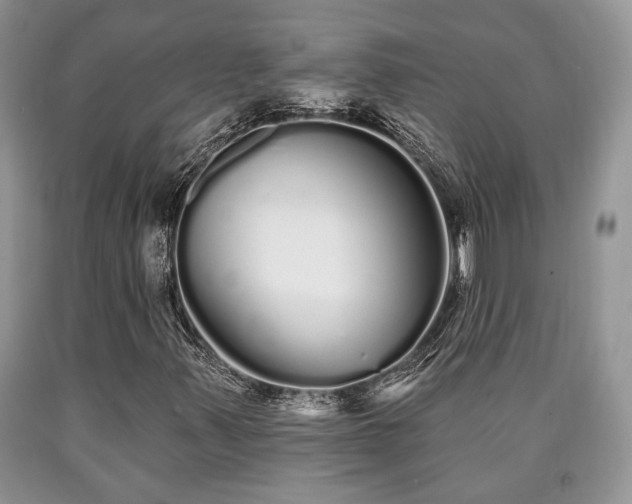 X0000090501347200707201538