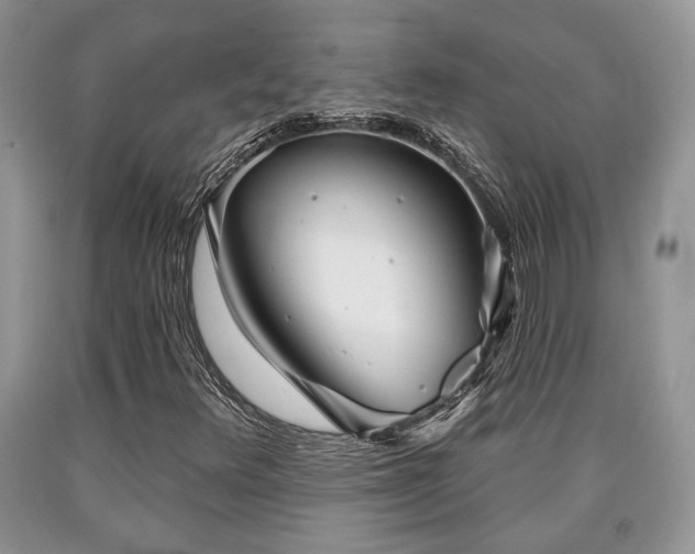 X0000090501348200707201538