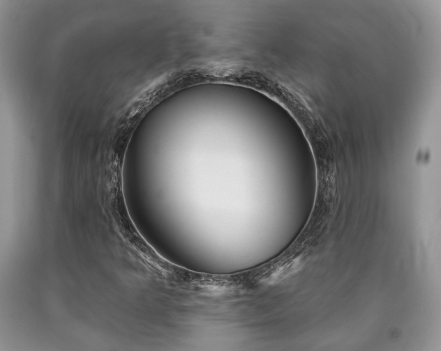 X0000090501349200707201538