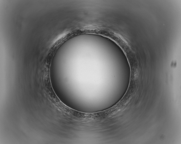 X0000090501350200707201538