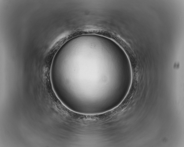 X0000090501351200707201538