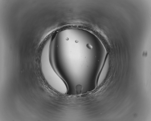 X0000090501352200707201538