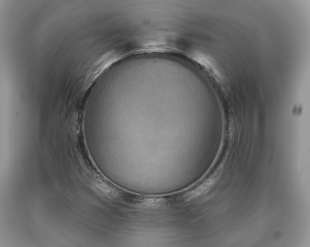 X0000090501353200707201538