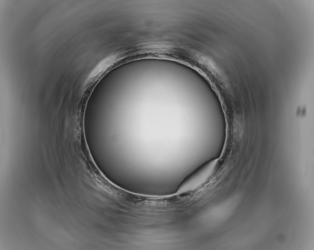 X0000090501354200707201537