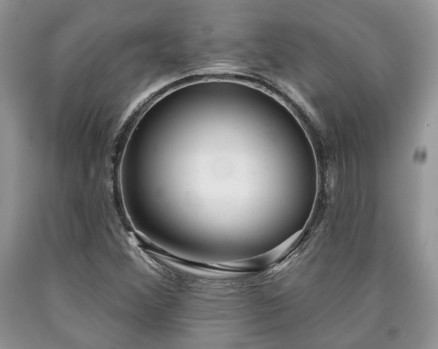 X0000090501356200707201537