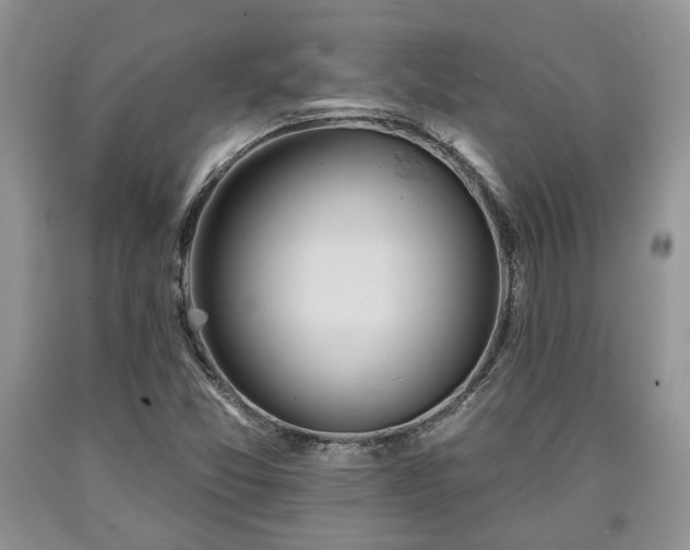 X0000090501357200707201537