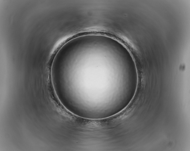 X0000090501358200707201537