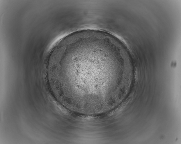 X0000090501359200707201537