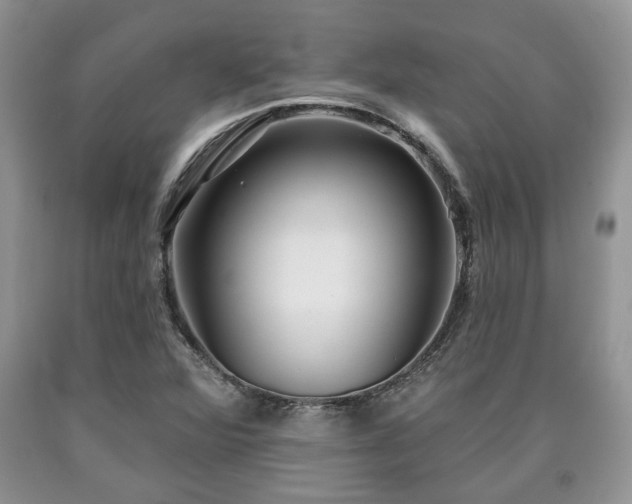X0000090501360200707201537